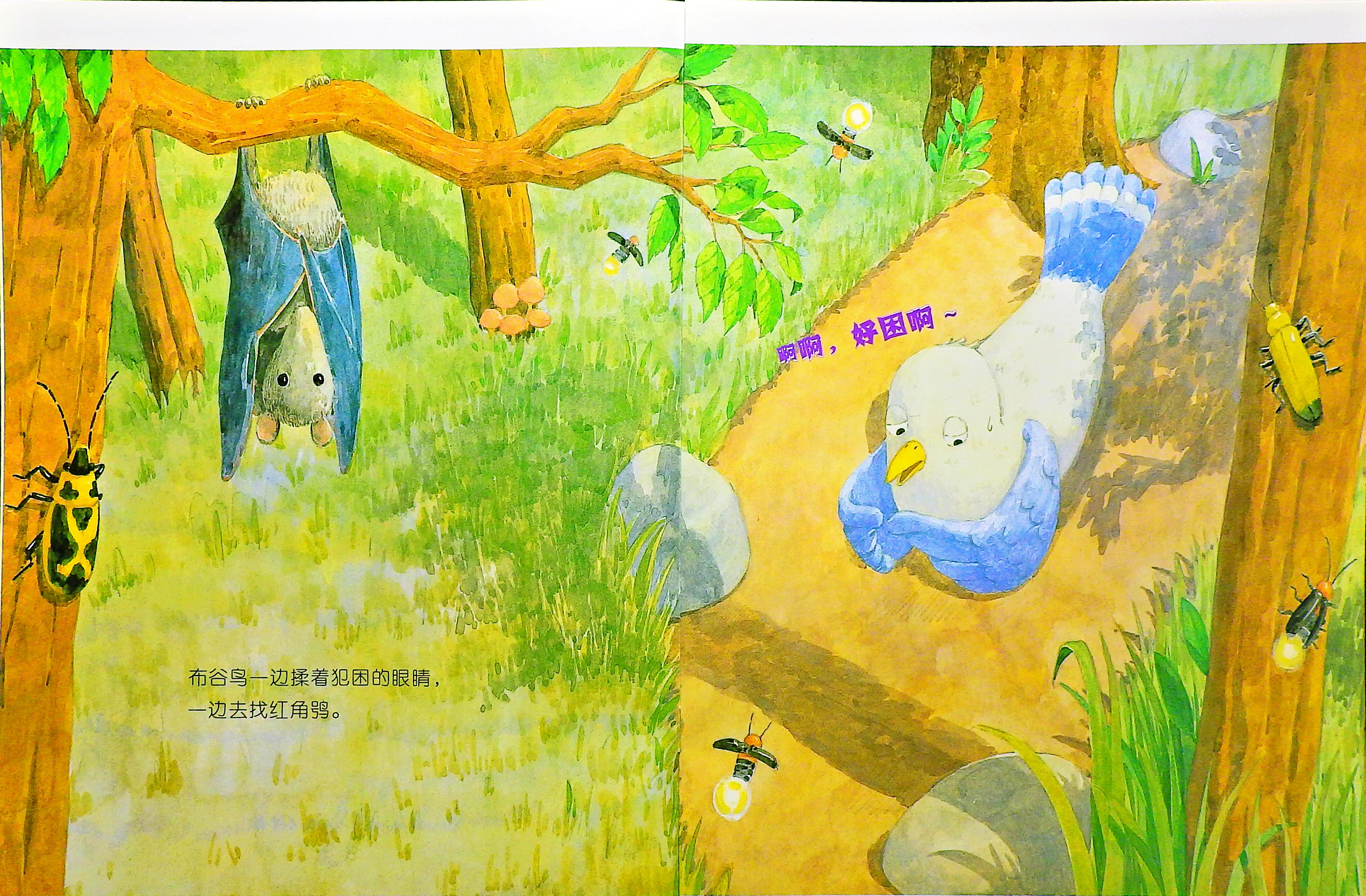 被夜光眼镜吓坏的布谷鸟 (06),绘本,绘本故事,绘本阅读,故事书,童书,图画书,课外阅读